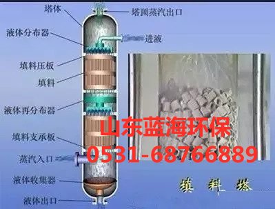 下部進(jìn)入塔體的酸性有害氣體與噴淋液呈逆流活動(dòng)